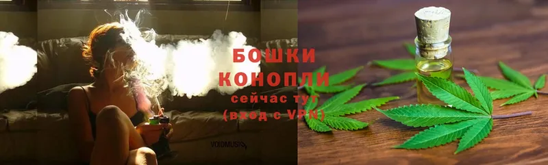 Бошки марихуана OG Kush  Егорьевск 